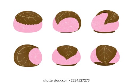 Sakura Mochi Set Vektorgrafik einzeln auf weißem Hintergrund. Japanischer Nachtisch im Kansai-Stil. Reisbälle, die in Kirschblätter eingewickelt sind. Unterschiedliche Positionen