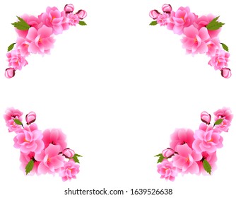 Sakura on four sides. Bouquets of cherry blossoms with purple flowers and buds. Vector illustration