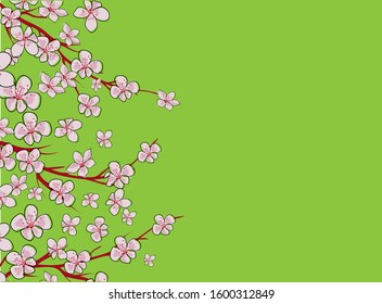Sakura on light background. Sakura vector flower. Vector floral print. Blooming cherry blossom petals. Japanese culture. Floral design. Blooming tree. Banner template.