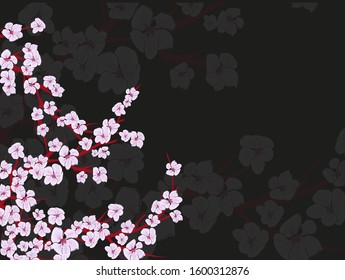 Sakura on light background. Sakura vector flower. Vector floral print. Blooming cherry blossom petals. Japanese culture. Floral design. Blooming tree. Banner template.