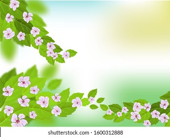 Sakura on light background. Sakura vector flower. Vector floral print. Blooming cherry blossom petals. Japanese culture. Floral design. Blooming tree. Banner template.