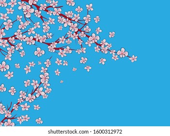 Sakura on light background. Sakura vector flower. Vector floral print. Blooming cherry blossom petals. Japanese culture. Floral design. Blooming tree. Banner template.