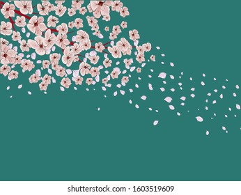 Sakura on light background. Sakura vector flower. Vector floral print. Blooming cherry blossom petals. Japanese culture. Floral design. Blooming tree. Banner template