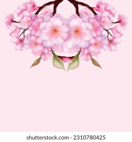 Sakura on white background. Watercolor Cherry blossom flower blooming vector. Watercolor cherry blossom vector