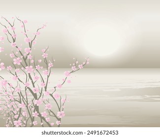 Sakura on white gray background. Cherry blossom flower blooming. spring flower background. Background cherry blossom spring flower Japan