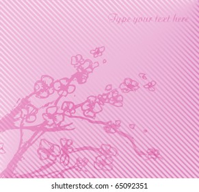 Sakura paint on pink background