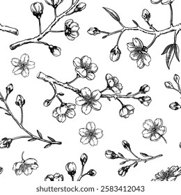 Sakura pattern. Spring background. Cherry blossom sketches. Floral seamless design. Hand-drawn vector illustration. NOT AI generated