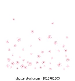 Sakura, Peach Cherry or Apple Flowers Vector Confetti. Elegant Falling Down Spring Romantic Floral Background. Tender Wedding Decoration, Realistic Cherry, Peach, Sakura or Apple Blossom Confetti.