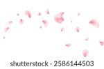 Sakura petal background. Spring blossom banner. 8 March card. Pink rose composition. Flower flying design. Beauty Spa product frame. Valentine romantic border. Women Day. Vector illustration.