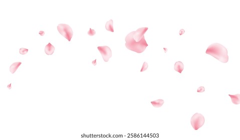 Sakura petal background. Spring blossom banner. 8 March card. Pink rose composition. Flower flying design. Beauty Spa product frame. Valentine romantic border. Women Day. Vector illustration.