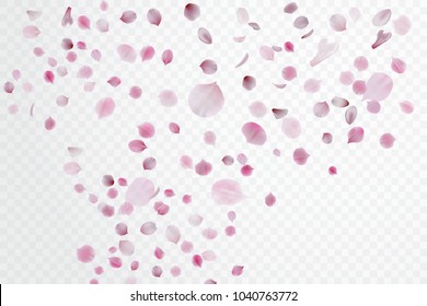 Sakura Petal Falling. Petal Confetti. Vector Stock.