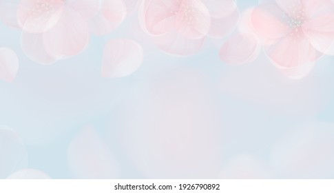 Sakura petal pink background. Vector spring flowers abstract banner, floral blur design, wallpaper texture, delicate nature concept backdrop, summer blossom bokeh cover with place for text