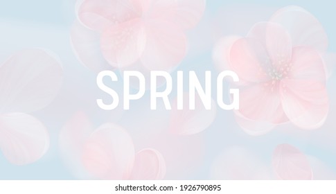 Sakura petal pink background. Vector spring flowers abstract banner, floral blur design, wallpaper texture, delicate nature concept backdrop, summer blossom bokeh cover