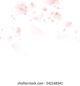 Sakura petal softly. EPS 10 vector file included