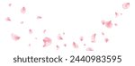 Sakura petal spring blossom on white banner. Pink rose composition. Flower flying background. Beauty Spa product frame. Valentine romantic card. Light delicate pastel design. Vector illustration.