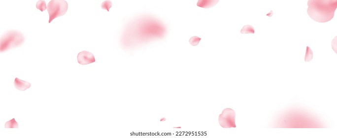 Sakura petal spring blossom on white banner. Flower flying background. Beauty Spa product frame. Pink rose composition. Valentine romantic card. Light delicate pastel design. Vector illustration.