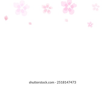 Sakura petal spring blossom on white banner. Sakura petal spring blossom on white banner. 