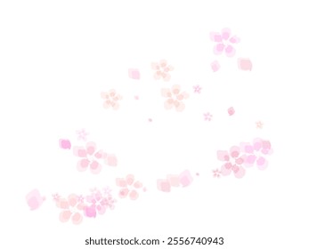 Sakura petal spring blossom on white banner. Light delicate pastel design. Vector illustration.