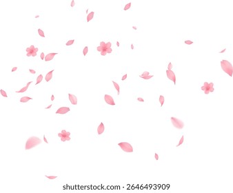 Sakura petal spring blossom on white banner Sakura wallpaper or web banner design template. Vector illustration of realistic  for Valentine's Day, Mother's Day, March 8. Love.