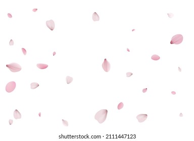 El fondo de los pétalos de Sakura. Vector de cerezas de vacaciones