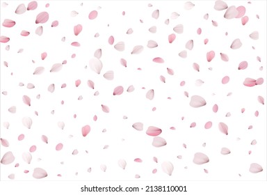 Sakura petals background. Cherry petals vector 