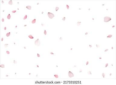 Sakura petals background. Cherry petals vector backdrop