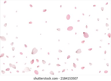 Sakura petals background. Cherry petals vector backdrop