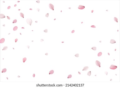 Sakura petals. Cherry petals vector backdrop