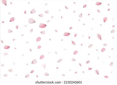 Sakura petals. Cherry petals vector backdrop