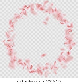 Sakura petals circle frame isolated on transparent background. And also includes EPS 10 vector