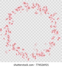 Sakura petals circle frame isolated on transparent background. And also includes EPS 10 vector