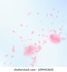 Sakura petals falling down. Romantic pink flowers corner. Flying petals on blue sky square background. Love, romance concept. Unique wedding invitation.