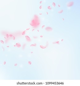 Sakura petals falling down. Romantic pink flowers corner. Flying petals on blue sky square background. Love, romance concept. Tempting wedding invitation.