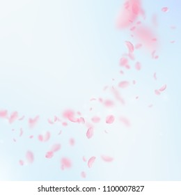 Sakura petals falling down. Romantic pink flowers corner. Flying petals on blue sky square background. Love, romance concept. Remarkable wedding invitation.
