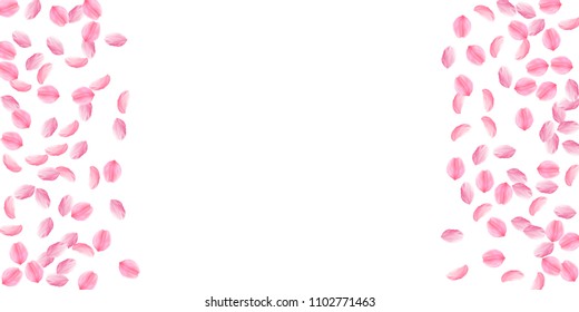 Sakura petals falling down. Romantic pink silky medium flowers. Sparse flying cherry petals. Wide border popular vector background. Love, affection, romance concept.