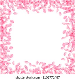 Sakura petals falling down. Romantic pink silky medium flowers. Thick flying cherry petals. Square border bold vector background. Love, affection, romance concept.