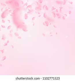 Sakura petals falling down. Romantic pink flowers falling rain. Flying petals on pink square background. Love, romance concept. Mind-blowing wedding invitation.