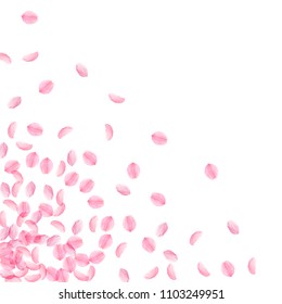 Sakura petals falling down. Romantic pink silky medium flowers. Thick flying cherry petals. Scattered bottom left corner terrific vector background. Love, affection, romance concept.