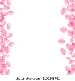 Sakura petals falling down. Romantic pink silky big flowers. Thick flying cherry petals. Messy border impressive vector background. Love, affection, romance concept.