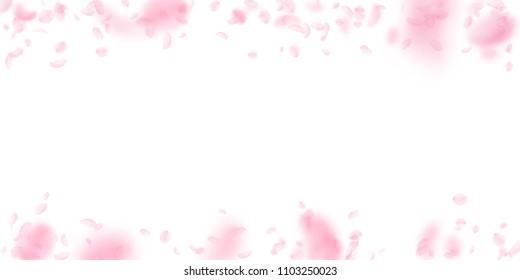 Sakura petals falling down. Romantic pink flowers falling rain. Flying petals on white wide background. Love, romance concept. Modern wedding invitation.