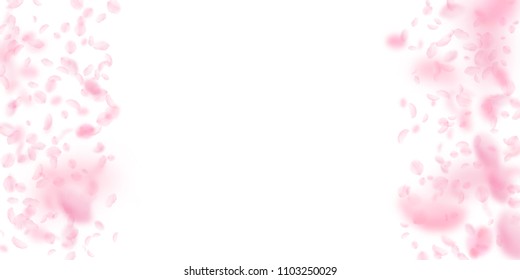 Sakura petals falling down. Romantic pink flowers border. Flying petals on white wide background. Love, romance concept. Incredible wedding invitation.