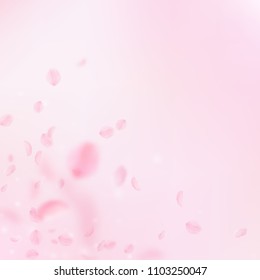 Sakura petals falling down. Romantic pink flowers corner. Flying petals on pink square background. Love, romance concept. Attractive wedding invitation.