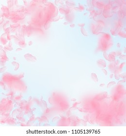 Sakura petals falling down. Romantic pink flowers vignette. Flying petals on blue sky square background. Love, romance concept. Fabulous wedding invitation.