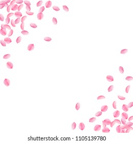 Sakura petals falling down. Romantic pink bright medium flowers. Thick flying cherry petals. Abstract corners admirable vector background. Love, affection, romance concept.