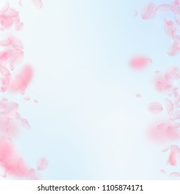 Sakura petals falling down. Romantic pink flowers borders. Flying petals on blue sky square background. Love, romance concept. Mind-blowing wedding invitation.