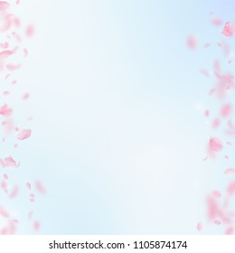 Sakura petals falling down. Romantic pink flowers borders. Flying petals on blue sky square background. Love, romance concept. Neat wedding invitation.