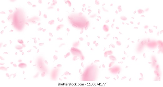 Sakura petals falling down. Romantic pink flowers falling rain. Flying petals on white wide background. Love, romance concept. Nice wedding invitation.