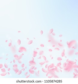 Sakura petals falling down. Romantic pink flowers gradient. Flying petals on blue sky square background. Love, romance concept. Powerful wedding invitation.