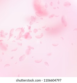 Sakura petals falling down. Romantic pink flowers corner. Flying petals on pink square background. Love, romance concept. Actual wedding invitation.