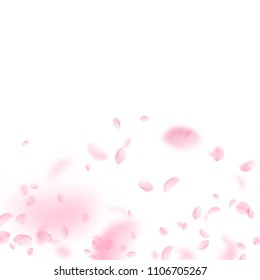 Sakura petals falling down. Romantic pink flowers gradient. Flying petals on white square background. Love, romance concept. Unequaled wedding invitation.